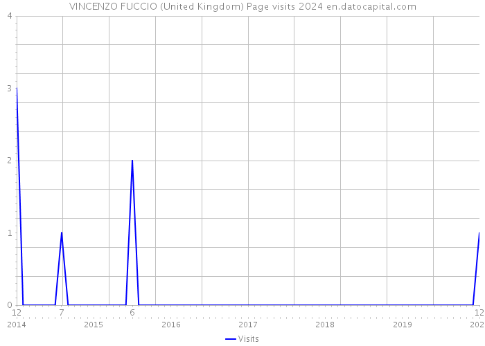 VINCENZO FUCCIO (United Kingdom) Page visits 2024 