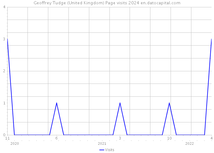Geoffrey Tudge (United Kingdom) Page visits 2024 