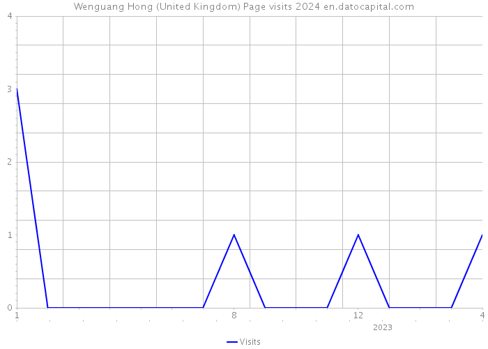 Wenguang Hong (United Kingdom) Page visits 2024 