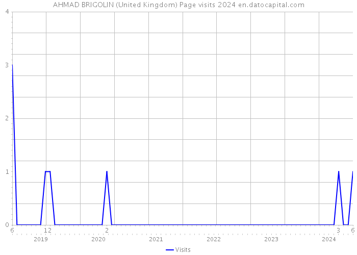 AHMAD BRIGOLIN (United Kingdom) Page visits 2024 