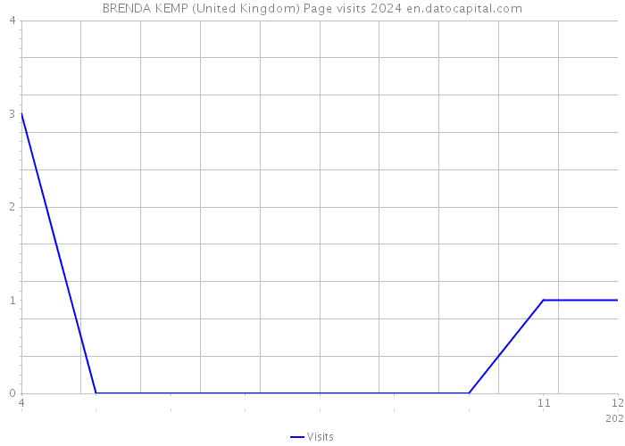 BRENDA KEMP (United Kingdom) Page visits 2024 