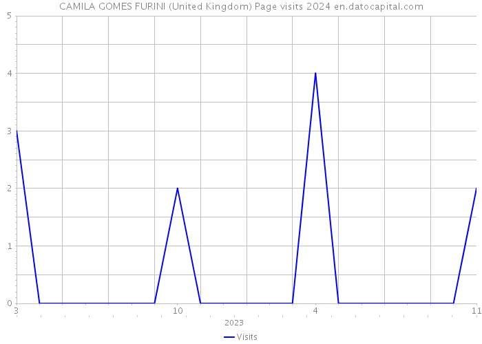 CAMILA GOMES FURINI (United Kingdom) Page visits 2024 
