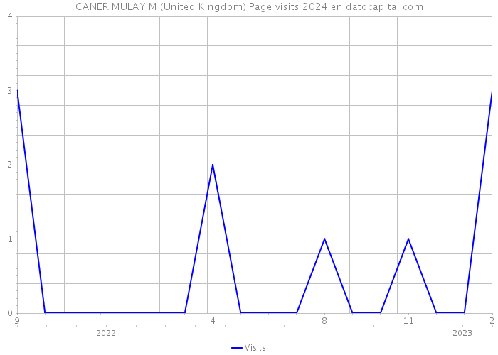 CANER MULAYIM (United Kingdom) Page visits 2024 