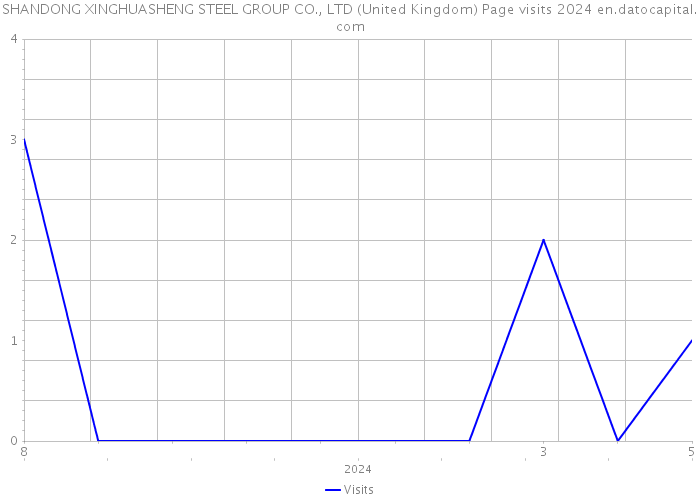 SHANDONG XINGHUASHENG STEEL GROUP CO., LTD (United Kingdom) Page visits 2024 