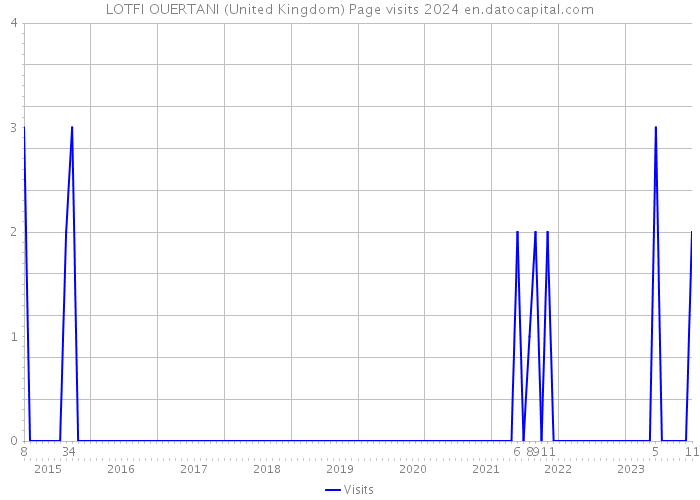 LOTFI OUERTANI (United Kingdom) Page visits 2024 
