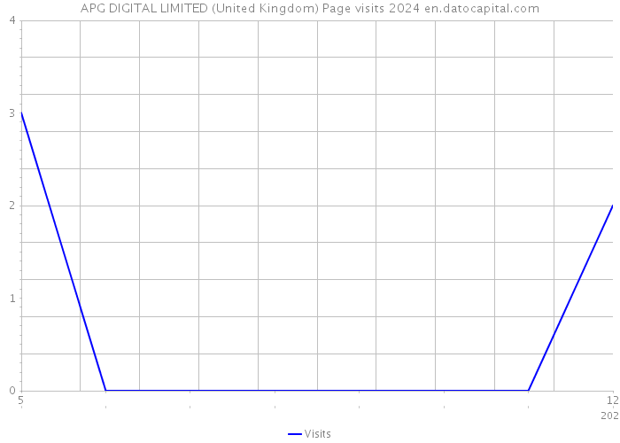 APG DIGITAL LIMITED (United Kingdom) Page visits 2024 