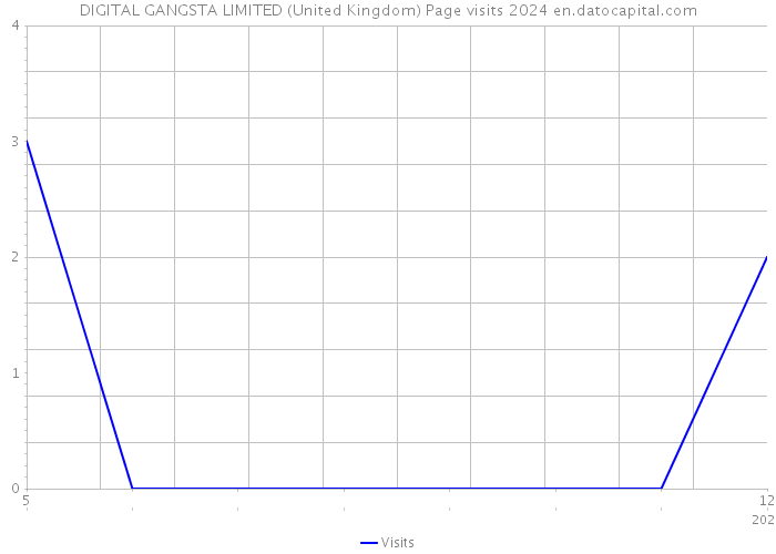 DIGITAL GANGSTA LIMITED (United Kingdom) Page visits 2024 