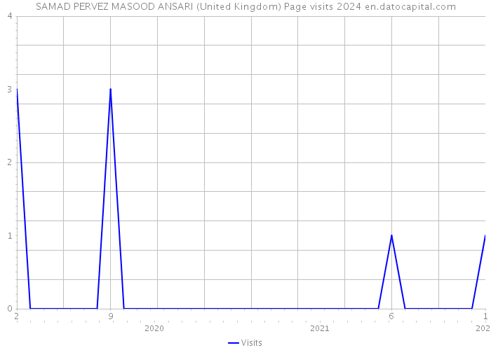SAMAD PERVEZ MASOOD ANSARI (United Kingdom) Page visits 2024 