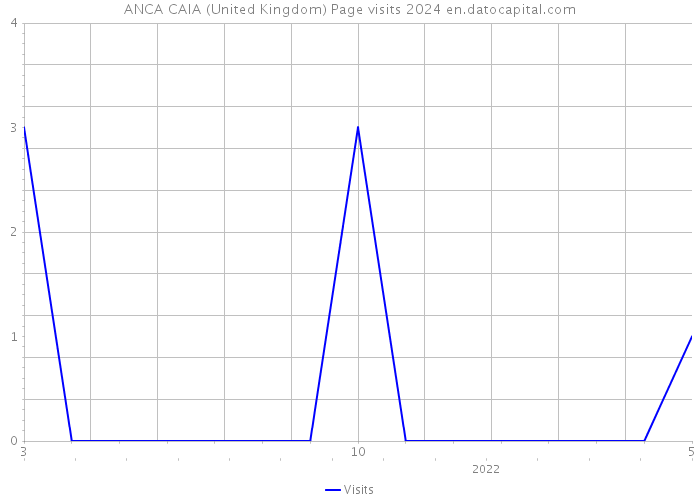ANCA CAIA (United Kingdom) Page visits 2024 