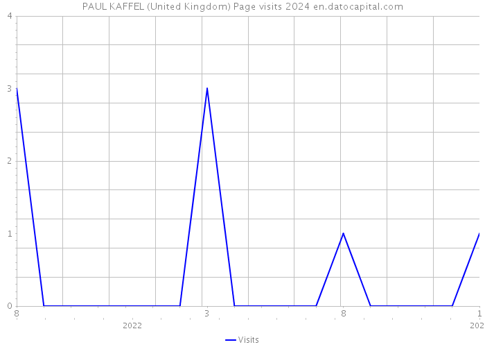 PAUL KAFFEL (United Kingdom) Page visits 2024 