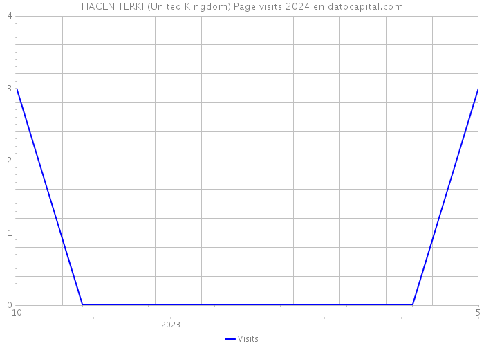 HACEN TERKI (United Kingdom) Page visits 2024 