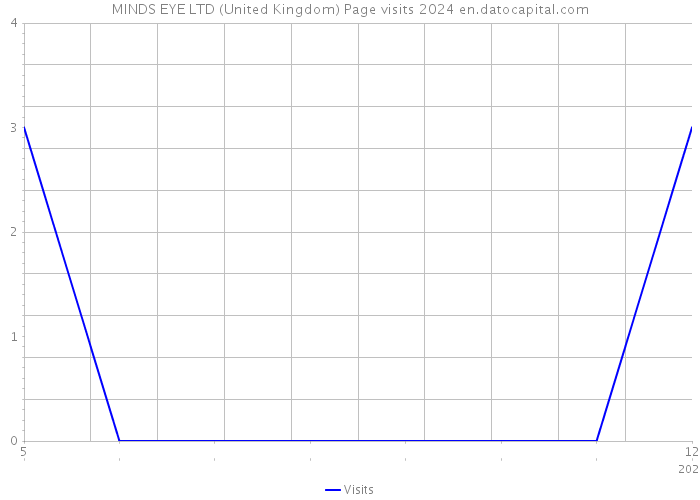 MINDS EYE LTD (United Kingdom) Page visits 2024 