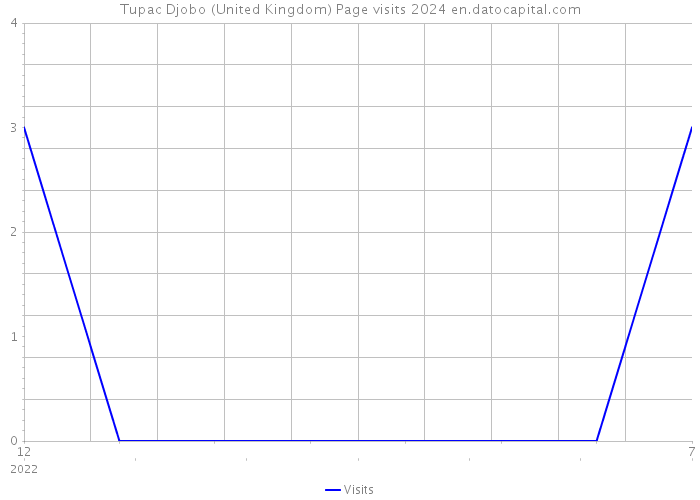 Tupac Djobo (United Kingdom) Page visits 2024 