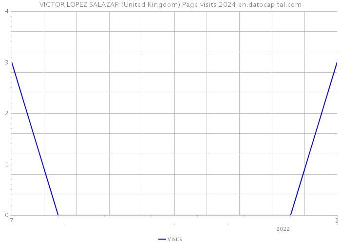 VICTOR LOPEZ SALAZAR (United Kingdom) Page visits 2024 