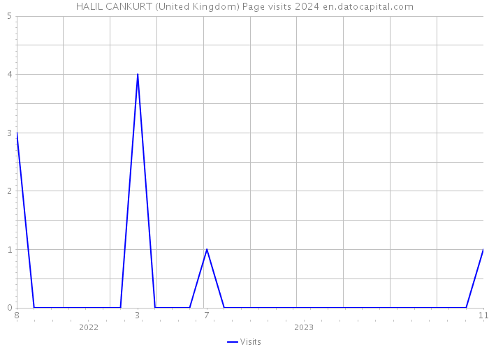HALIL CANKURT (United Kingdom) Page visits 2024 