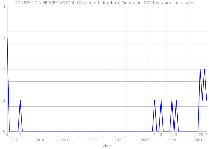KONSTANTIN SERGEY VOSTRIKOV (United Kingdom) Page visits 2024 