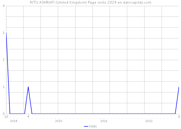 RITU ASHRAFI (United Kingdom) Page visits 2024 