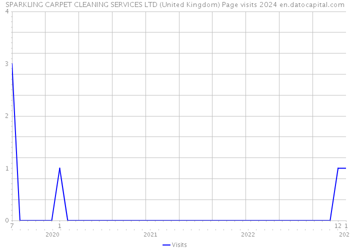 SPARKLING CARPET CLEANING SERVICES LTD (United Kingdom) Page visits 2024 