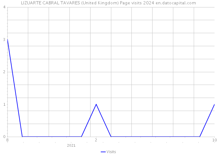 LIZUARTE CABRAL TAVARES (United Kingdom) Page visits 2024 