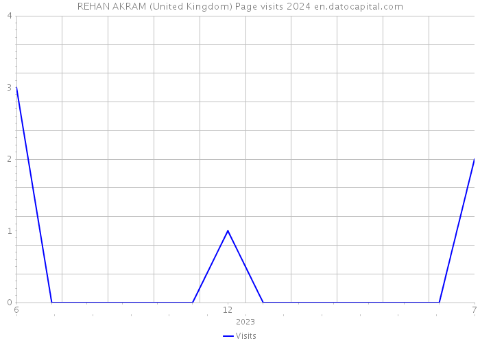 REHAN AKRAM (United Kingdom) Page visits 2024 