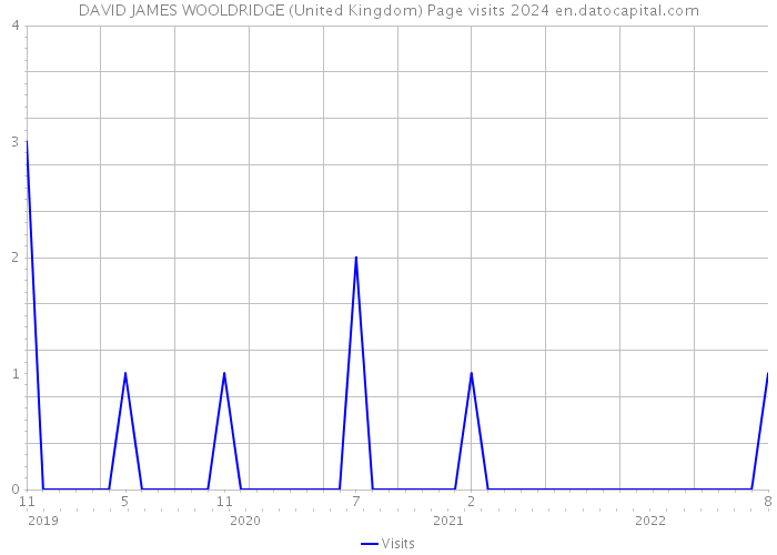 DAVID JAMES WOOLDRIDGE (United Kingdom) Page visits 2024 
