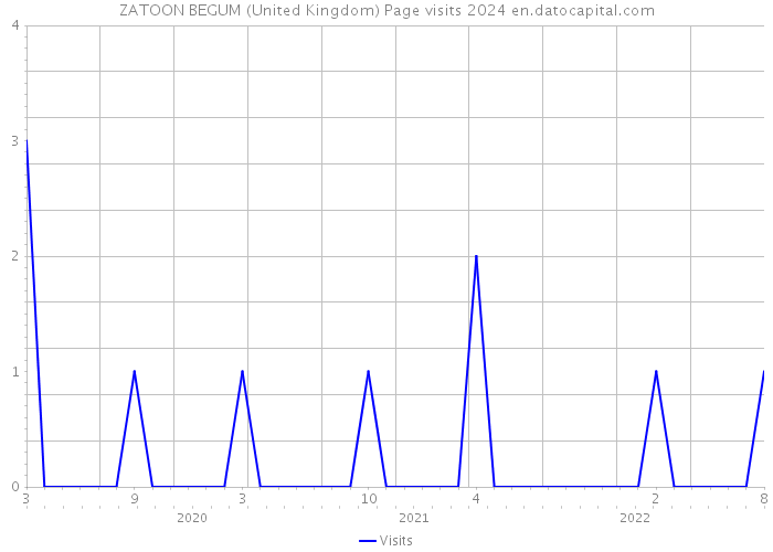 ZATOON BEGUM (United Kingdom) Page visits 2024 