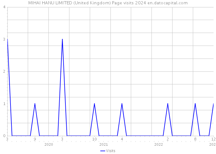 MIHAI HANU LIMITED (United Kingdom) Page visits 2024 