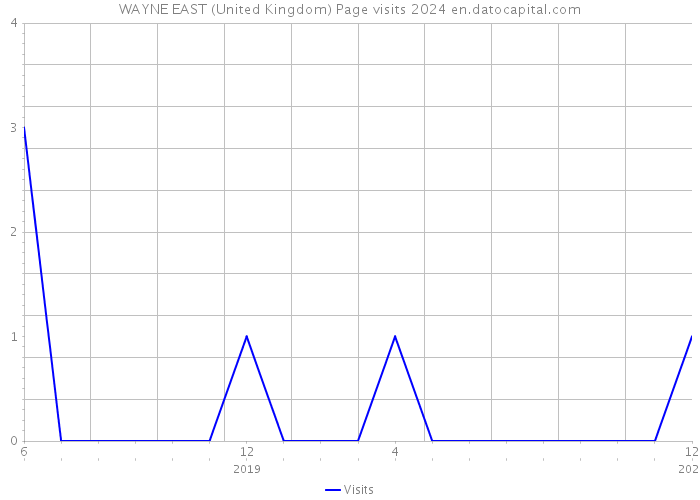 WAYNE EAST (United Kingdom) Page visits 2024 