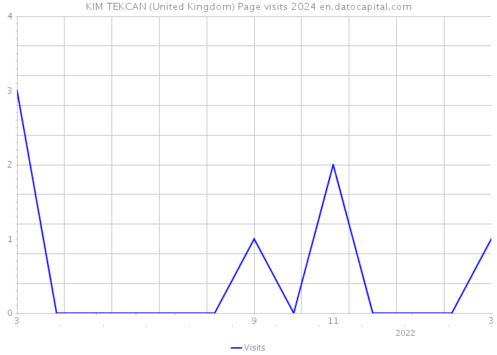 KIM TEKCAN (United Kingdom) Page visits 2024 