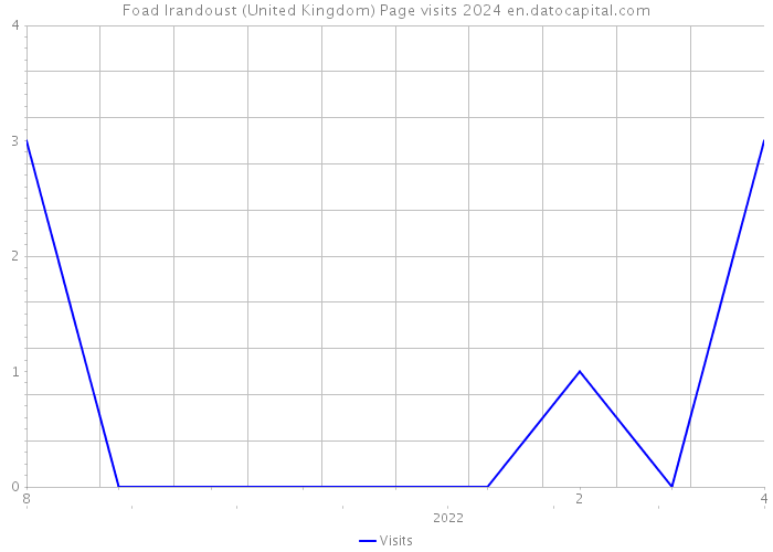Foad Irandoust (United Kingdom) Page visits 2024 