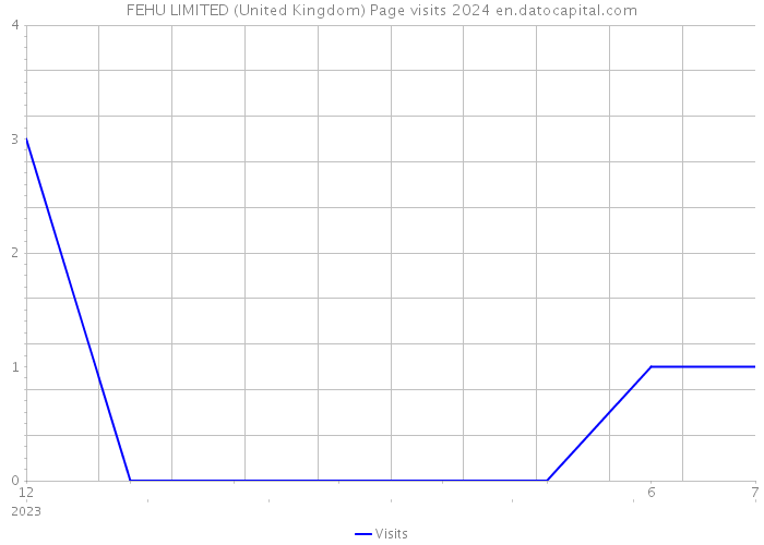 FEHU LIMITED (United Kingdom) Page visits 2024 