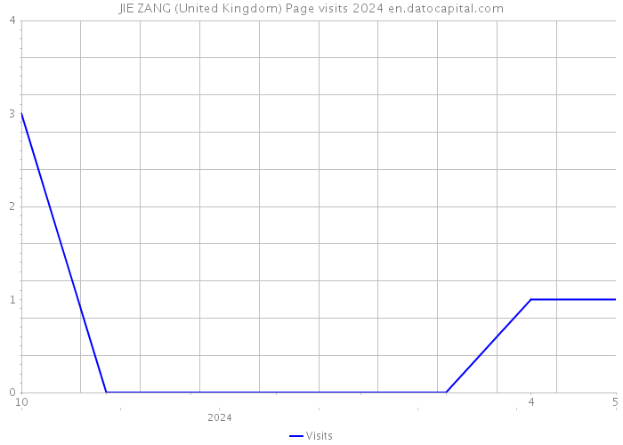 JIE ZANG (United Kingdom) Page visits 2024 