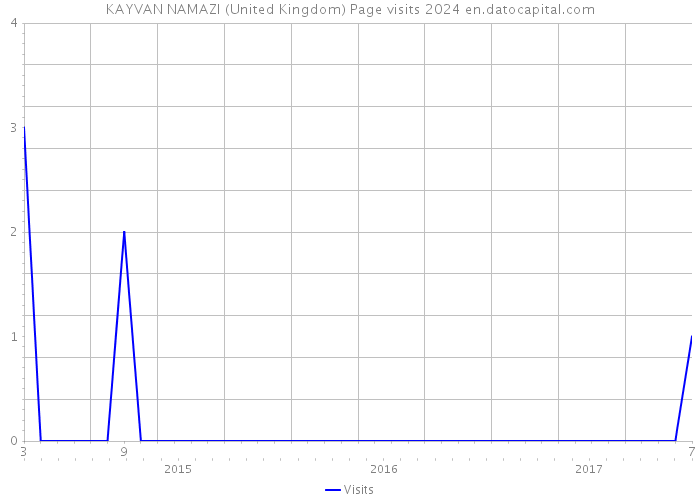 KAYVAN NAMAZI (United Kingdom) Page visits 2024 