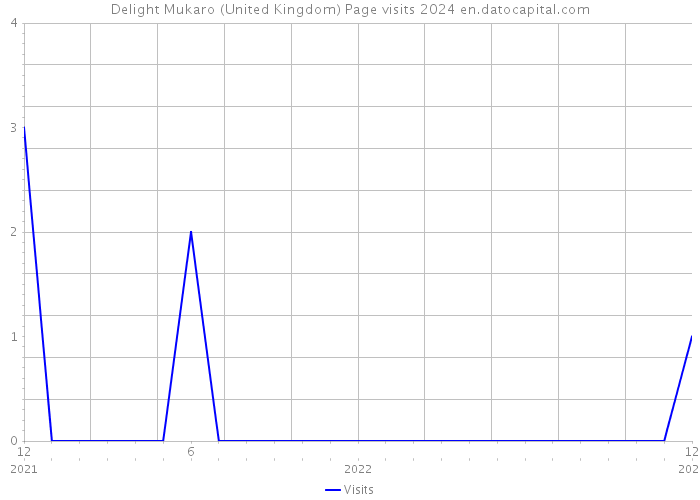 Delight Mukaro (United Kingdom) Page visits 2024 