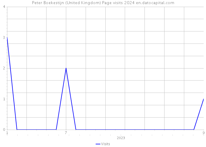 Peter Boekestijn (United Kingdom) Page visits 2024 