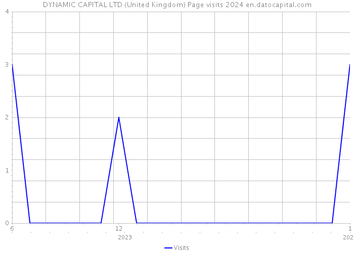 DYNAMIC CAPITAL LTD (United Kingdom) Page visits 2024 
