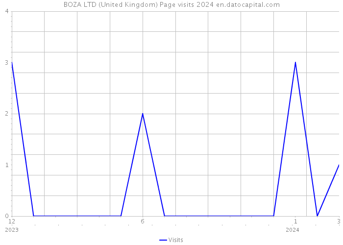 BOZA LTD (United Kingdom) Page visits 2024 