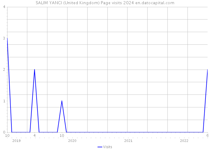 SALIM YANCI (United Kingdom) Page visits 2024 
