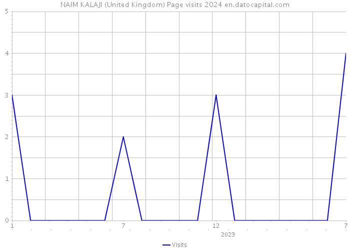 NAIM KALAJI (United Kingdom) Page visits 2024 