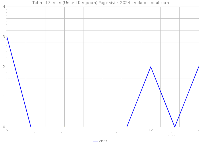 Tahmid Zaman (United Kingdom) Page visits 2024 