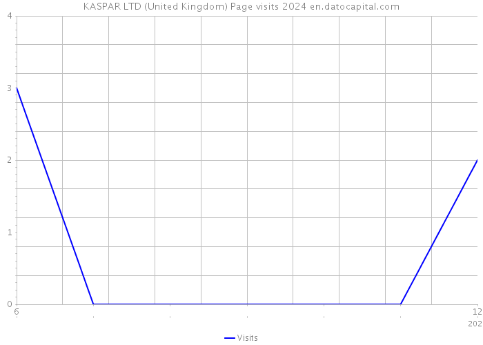 KASPAR LTD (United Kingdom) Page visits 2024 