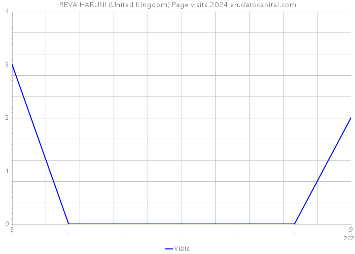 REVA HARUNI (United Kingdom) Page visits 2024 