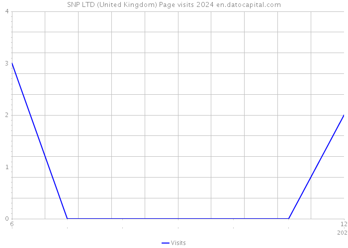 SNP LTD (United Kingdom) Page visits 2024 