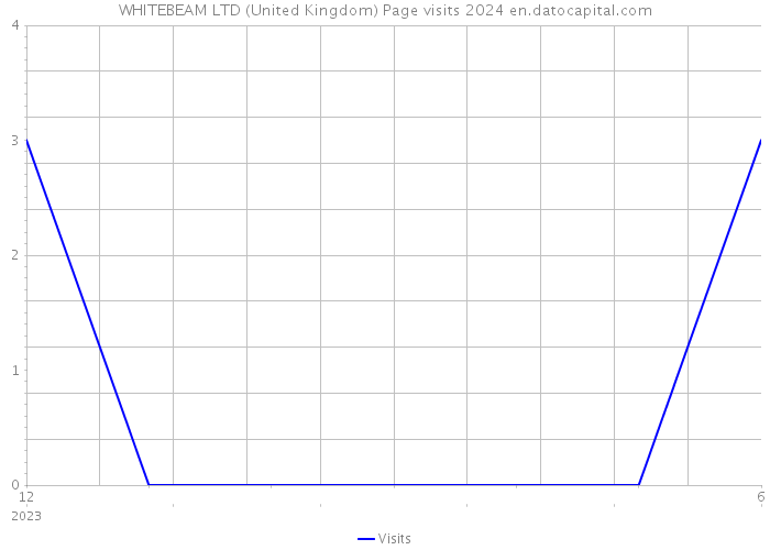 WHITEBEAM LTD (United Kingdom) Page visits 2024 