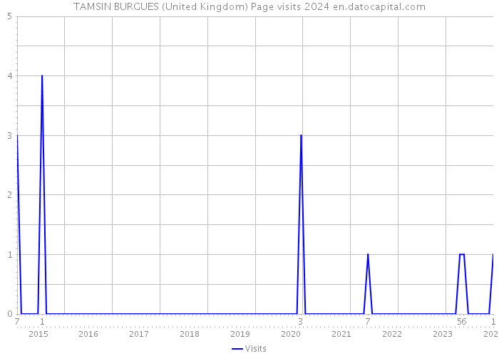 TAMSIN BURGUES (United Kingdom) Page visits 2024 