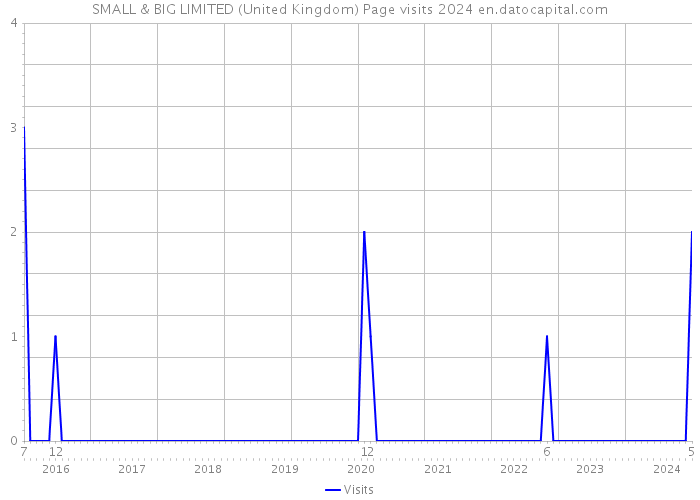 SMALL & BIG LIMITED (United Kingdom) Page visits 2024 