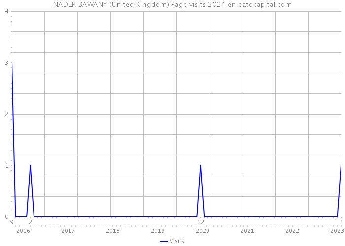 NADER BAWANY (United Kingdom) Page visits 2024 
