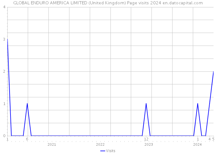 GLOBAL ENDURO AMERICA LIMITED (United Kingdom) Page visits 2024 