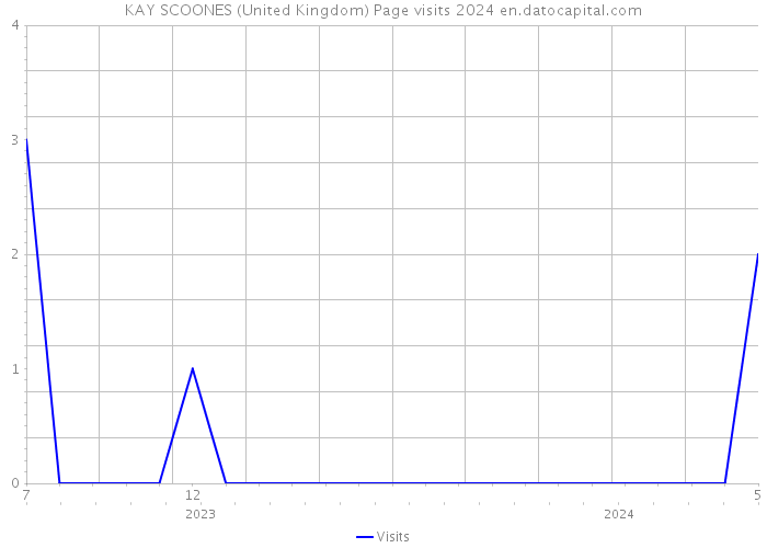 KAY SCOONES (United Kingdom) Page visits 2024 
