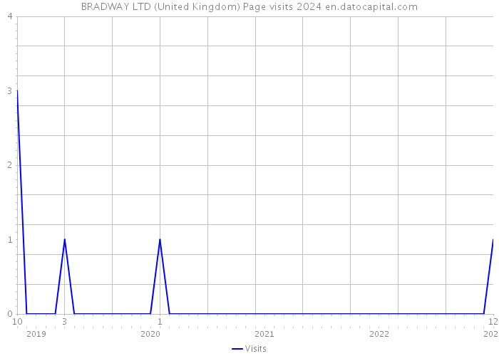BRADWAY LTD (United Kingdom) Page visits 2024 